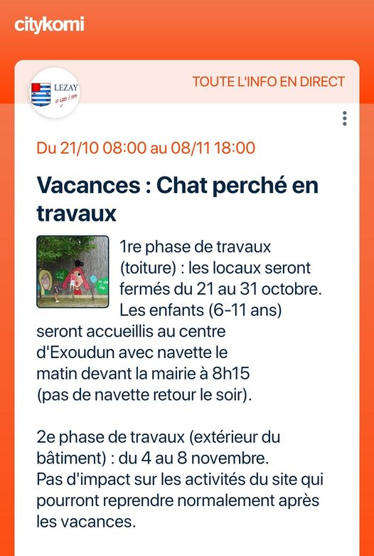 Chat perché en travaux