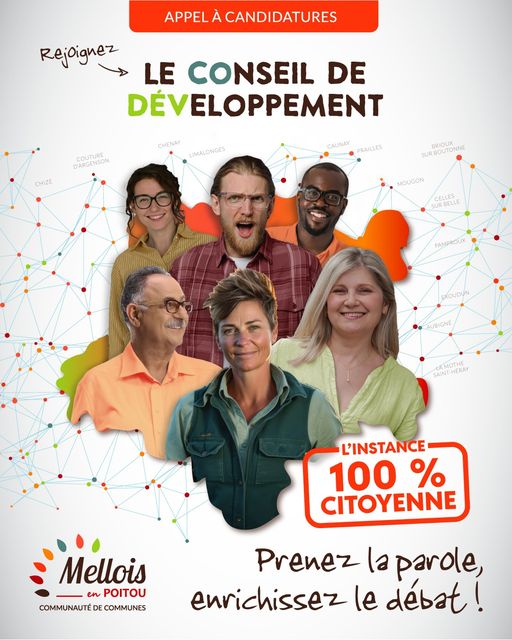 Conseil de développement