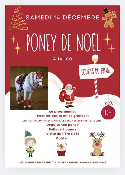 Les poneys de Noël