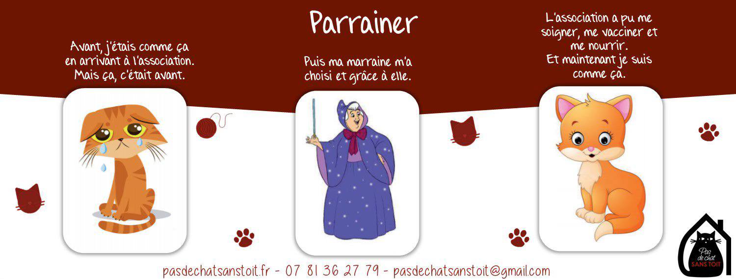 Parrainer un chat