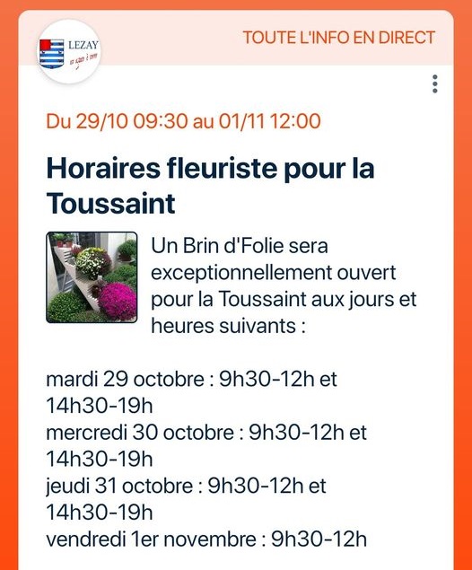 Un brin de folie Ouvert pour la toussaint