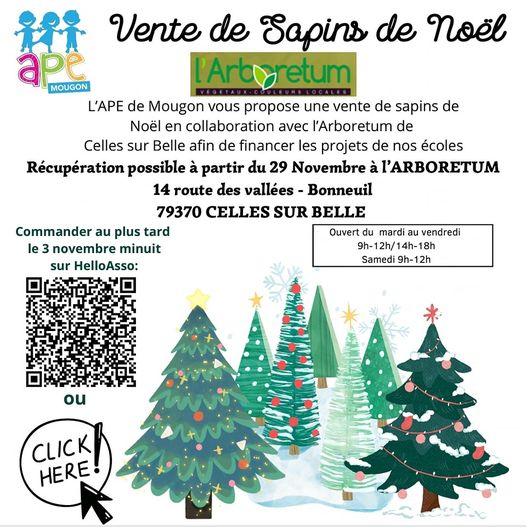 Vente de sapins de noël